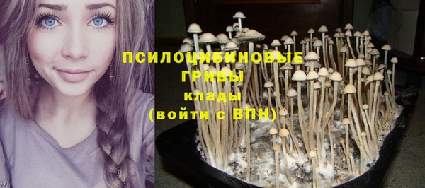 мдпв Армянск