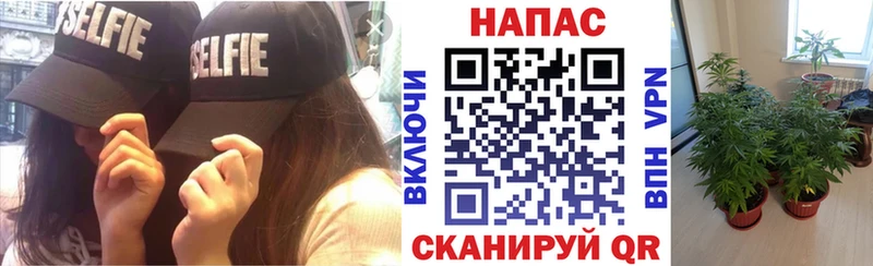 хочу наркоту  Рудня  Канабис THC 21% 